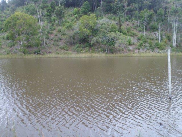 SAM_2198